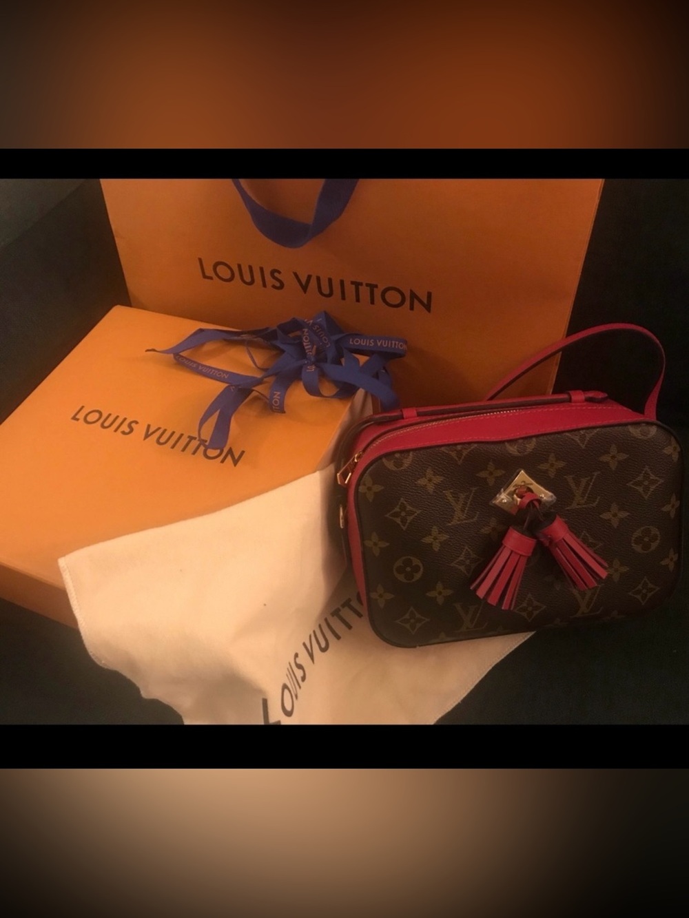 Louis Vuitton Saintouge Freesia/Monogram